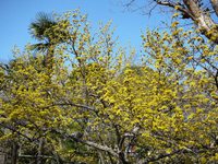 P1010217_2 P1010217_2